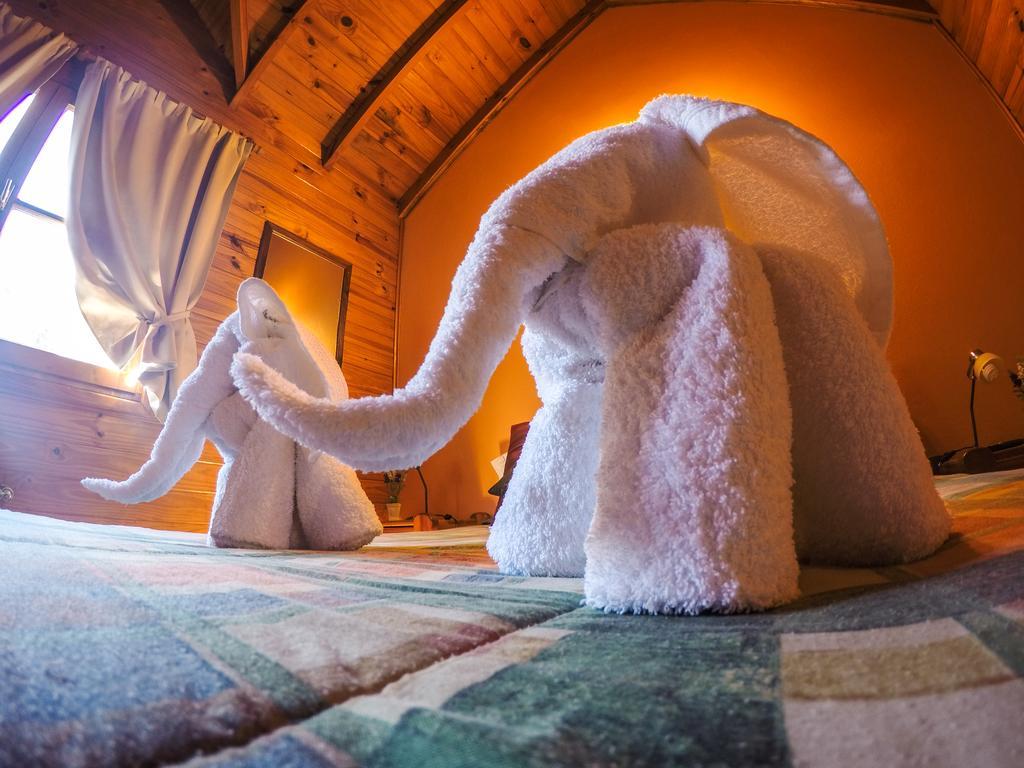 Cabanas De La Patagonia San Martín de los Andes Eksteriør bilde